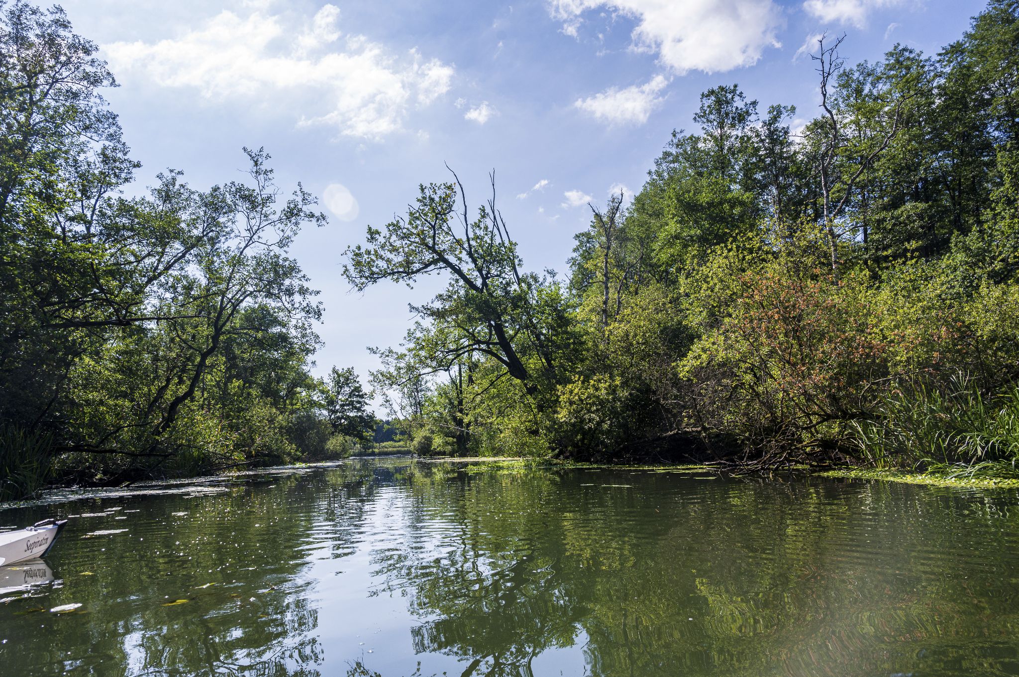 Kajaktour Leutstettner Moos 21.08.2022